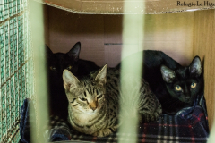 20191124-refugio-la-higuera-susana-servan-53 20191124-refugio-la-higuera-susana-servan-53