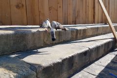 Manuel Aguirre Camacho