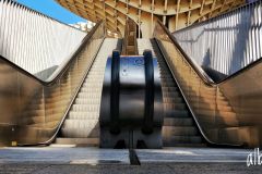 Alberto Gómez-Pando