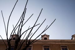 diego martínez castañeda