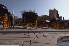 diego martínez castañeda