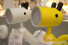 Ana Isabel Rey Botello Ana Isabel Rey Botello