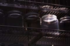 Diego Martínez Castañeda Diego Martínez Castañeda