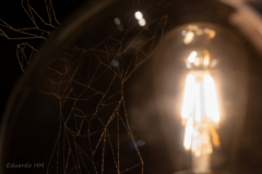 Eduardo Hospital Marín Eduardo Hospital Marín