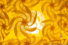 Manuel Aguirre Camacho Manuel Aguirre Camacho